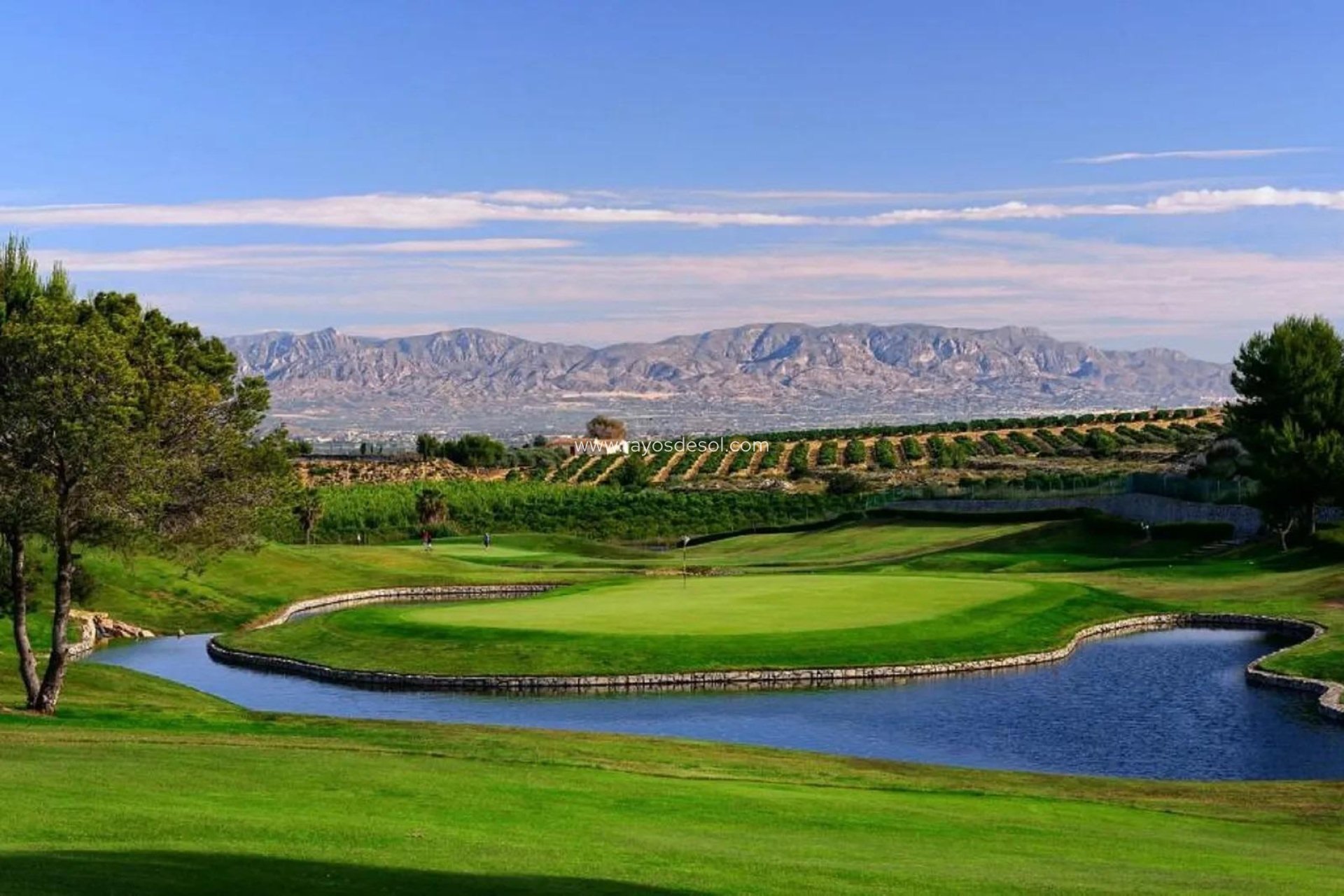 Nieuwbouw - Villa - Algorfa - La Finca Golf