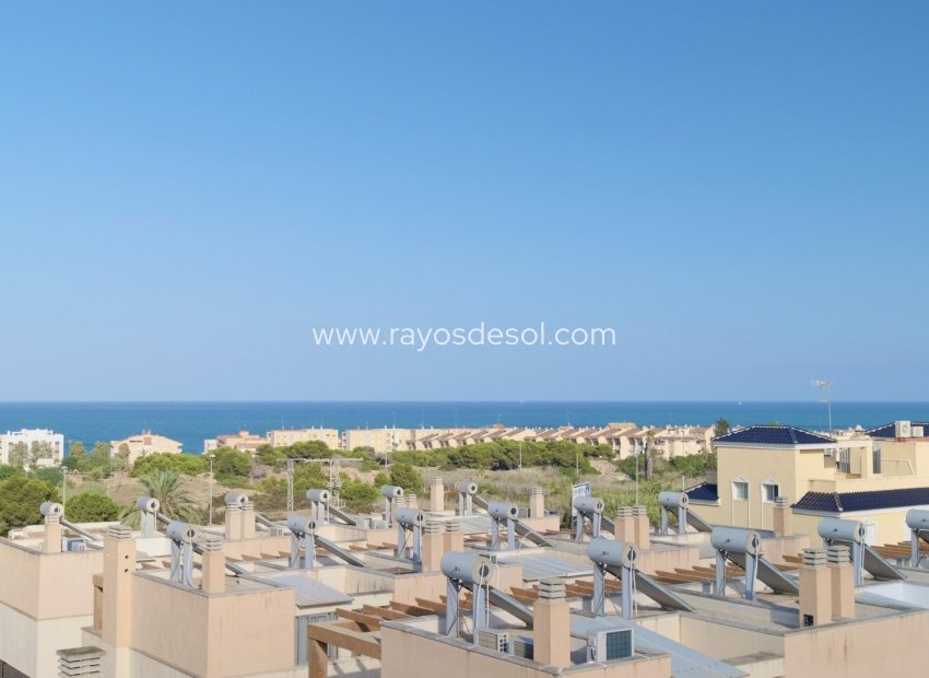 Nieuwbouw - Villa - Guardamar del Segura - Els Secans