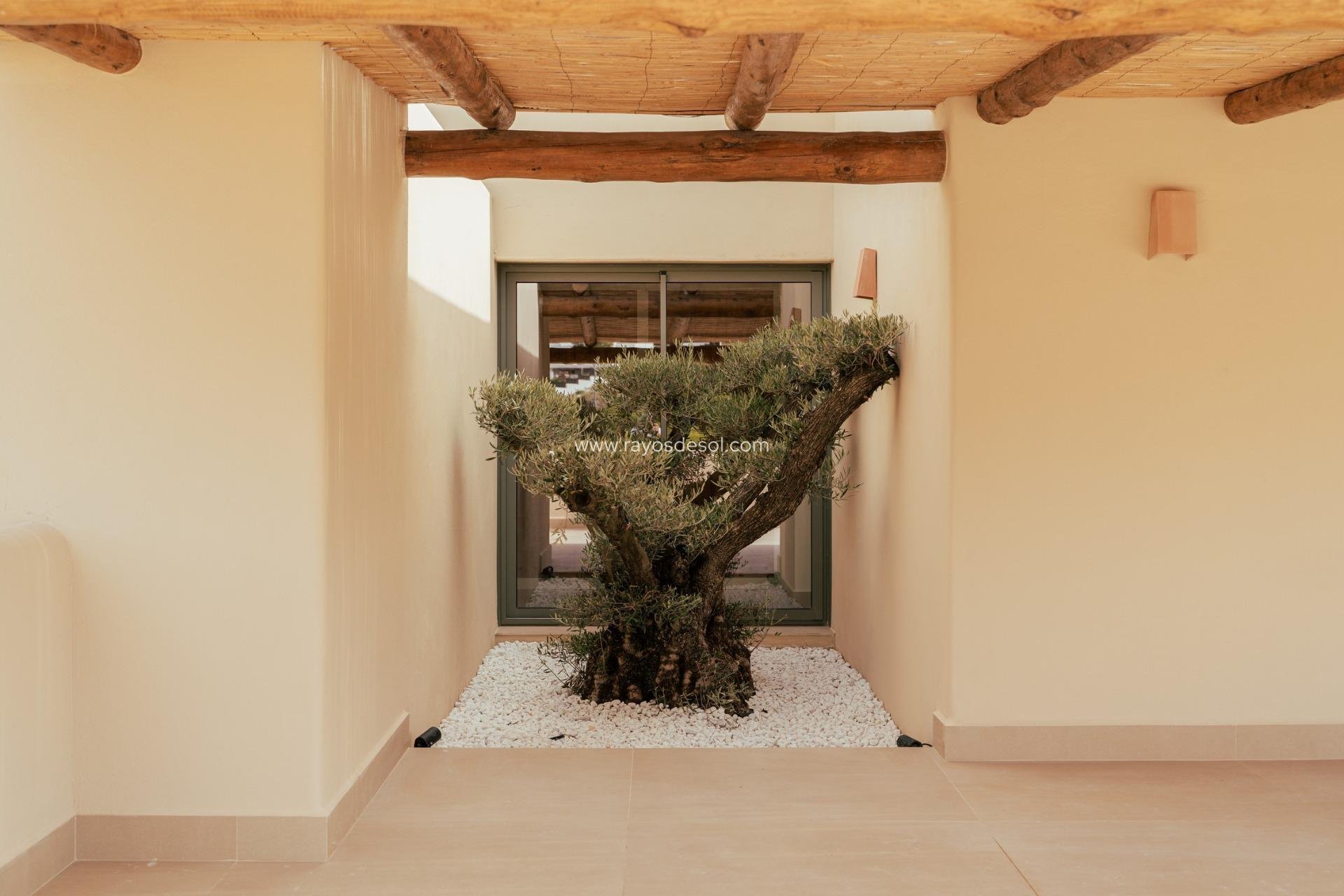 Nieuwbouw - Villa - Jávea - Valle del Sol