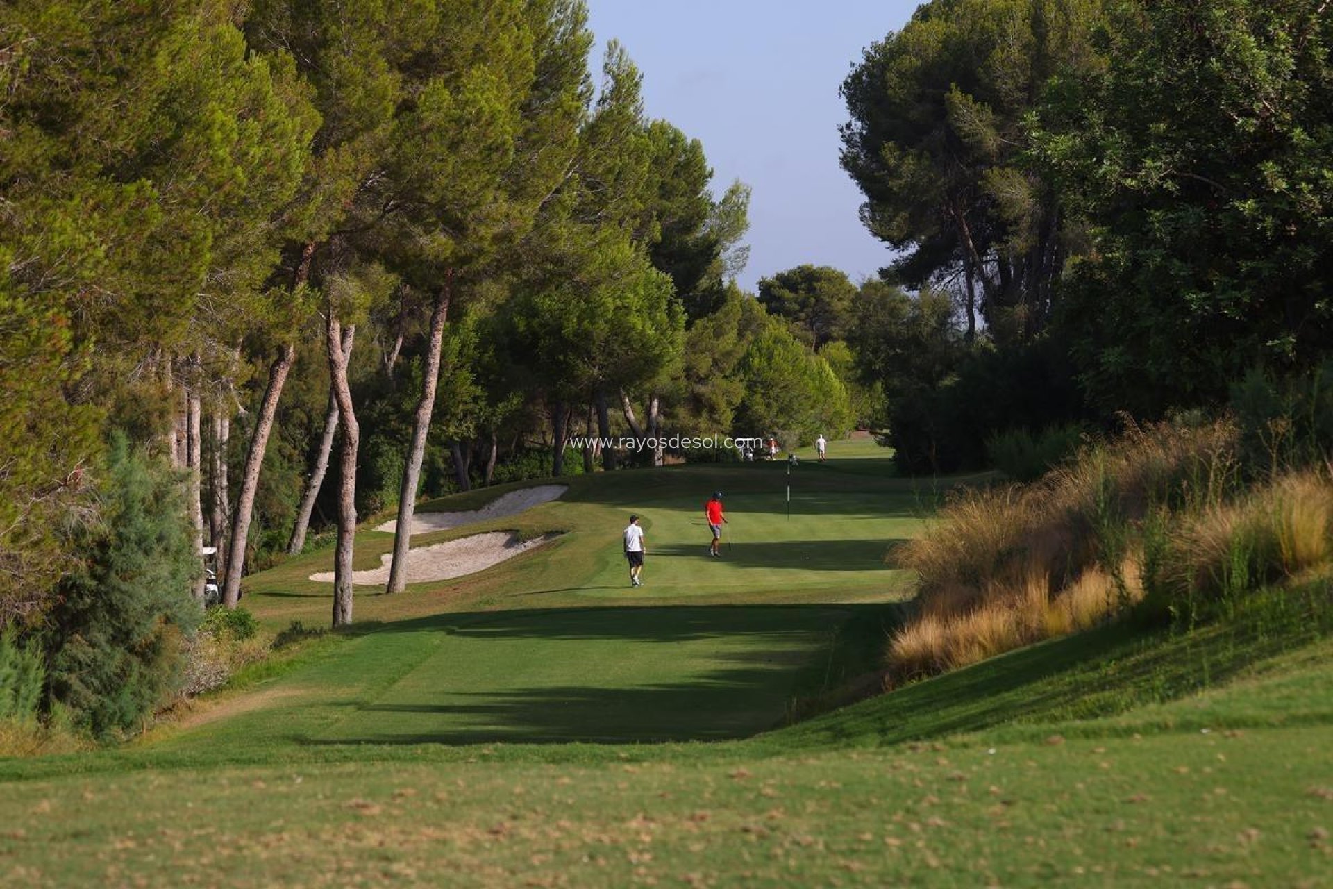 Nieuwbouw - Villa - Las Colinas Golf Resort - Las Colinas Golf