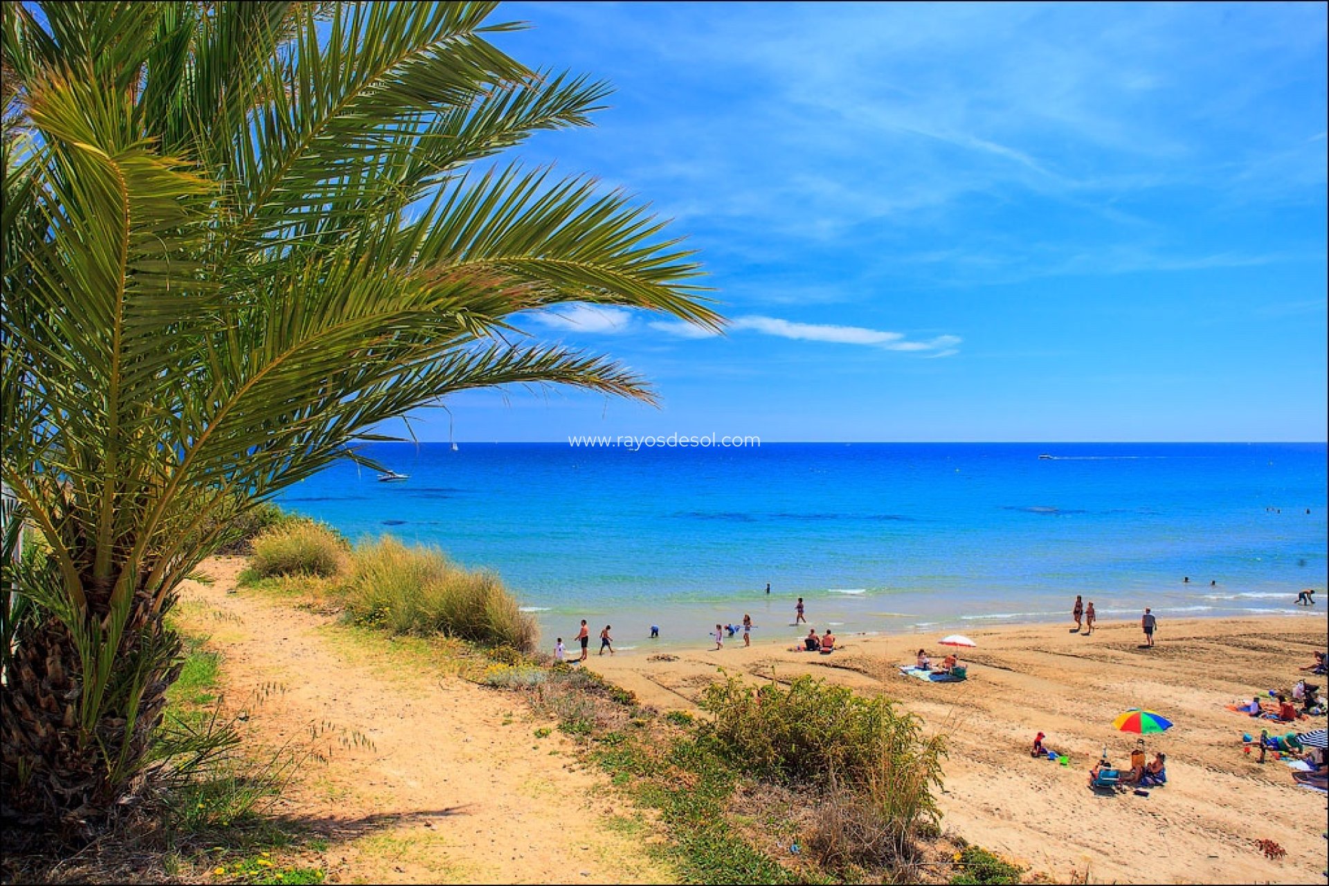 Nieuwbouw - Villa - Orihuela Costa - Cabo Roig