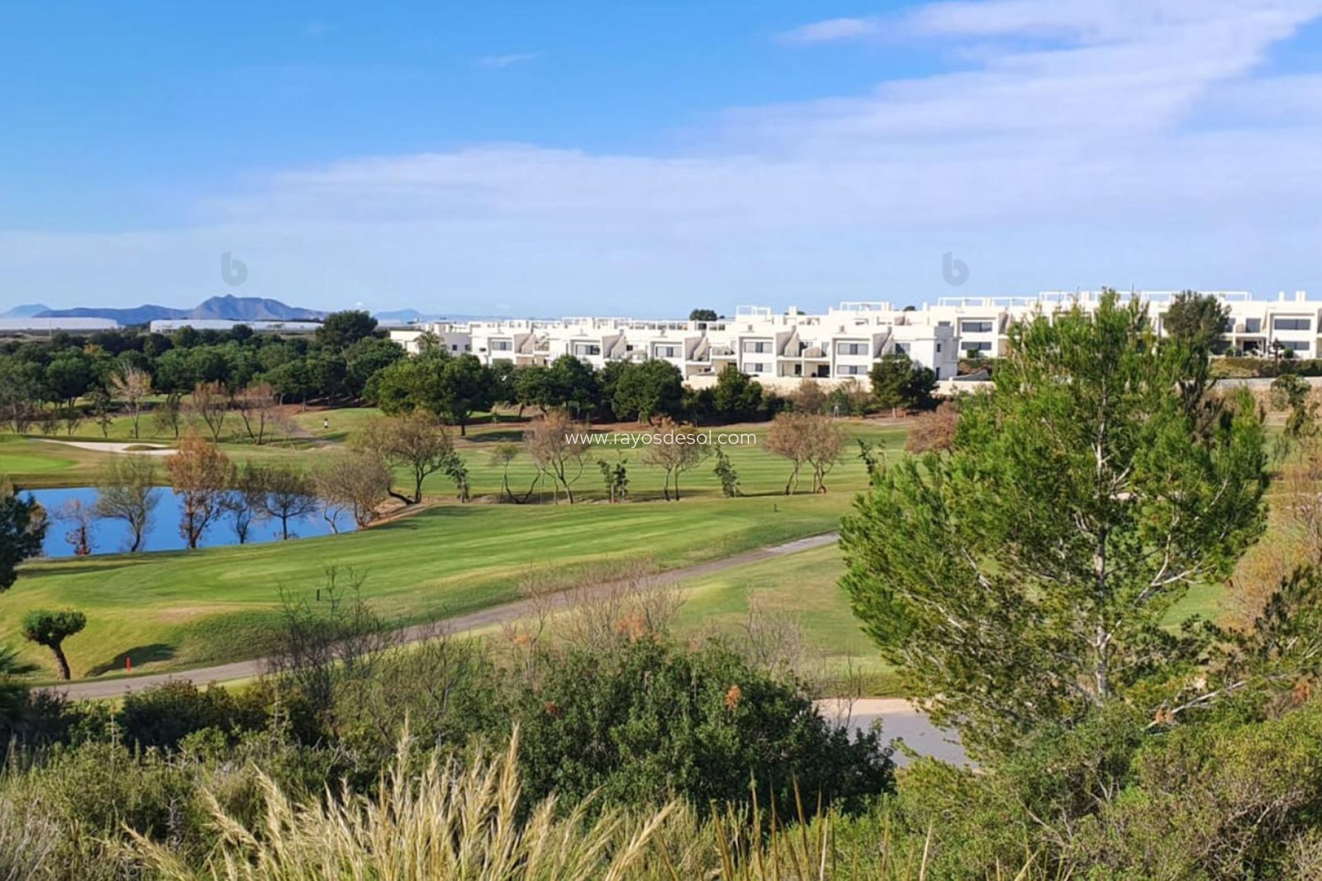 Nieuwbouw - Villa - Pilar de la Horadada - Lo Romero Golf