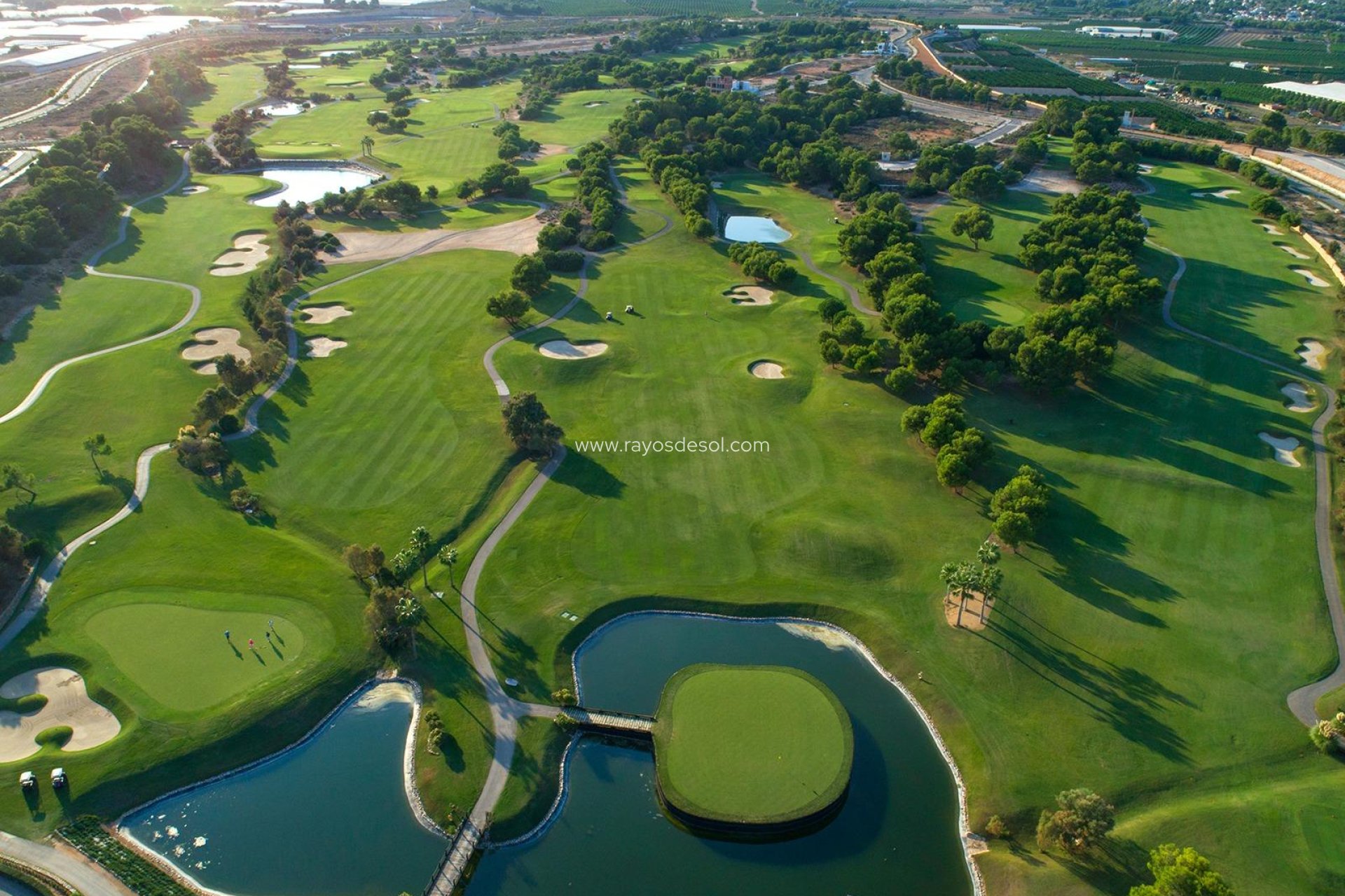 Nieuwbouw - Villa - Pilar de la Horadada - Lo Romero Golf