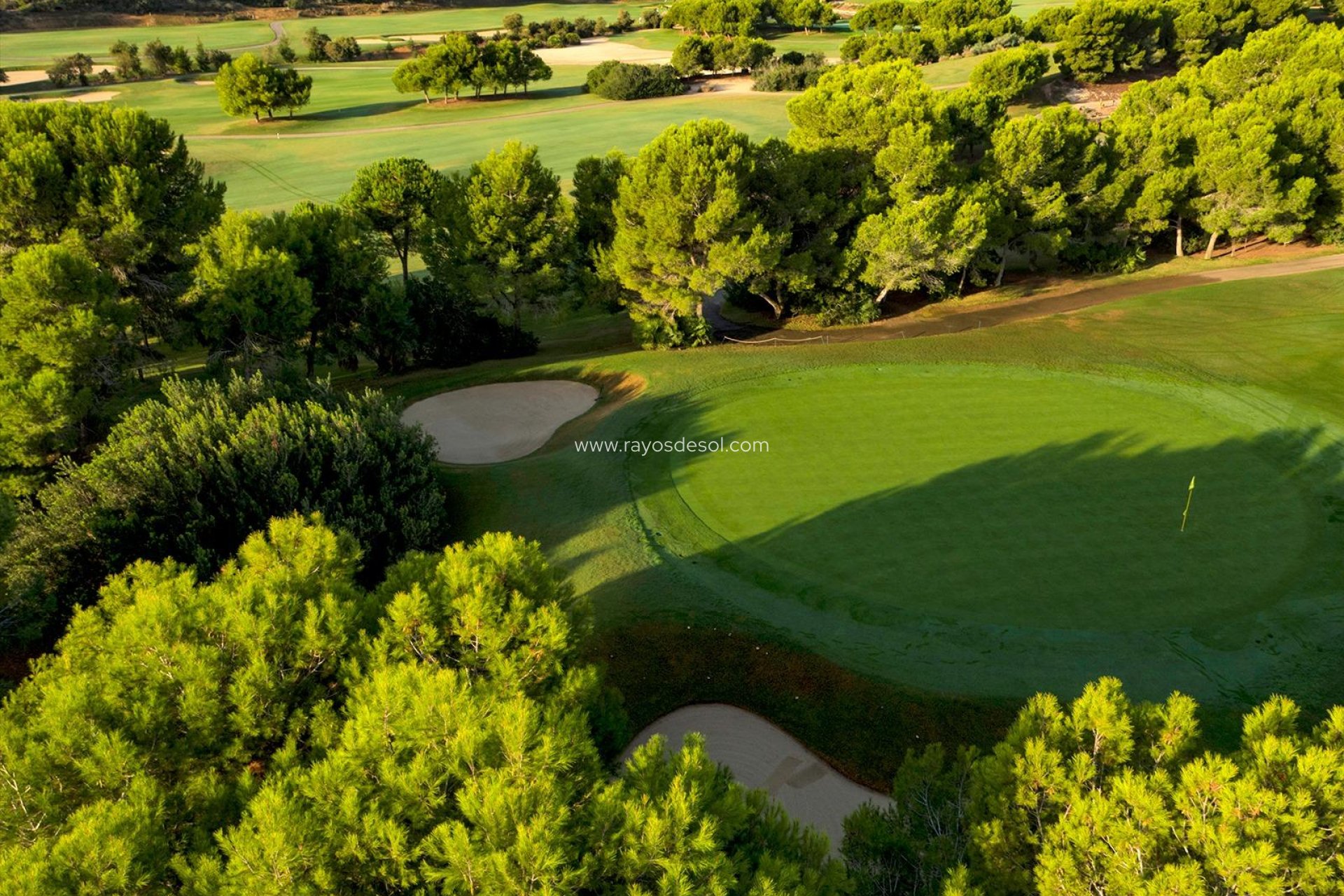 Nieuwbouw - Villa - Pilar de la Horadada - Lo Romero Golf