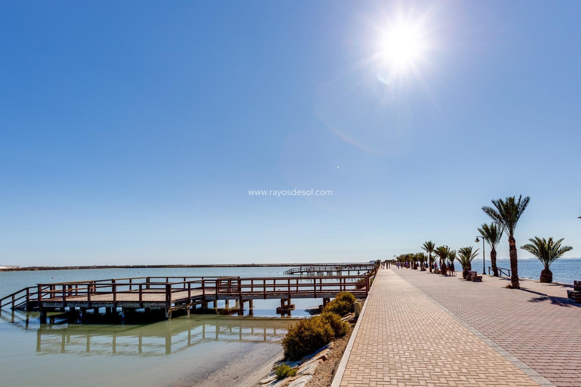 Nieuwbouw - Villa - Pilar de la Horadada