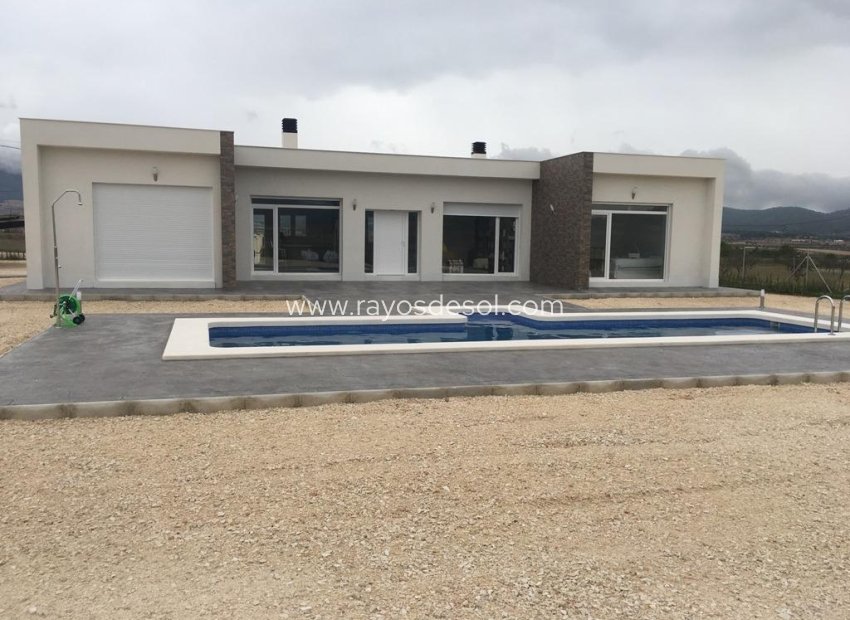 Nieuwbouw - Villa - Pinoso - Camino Del Prado