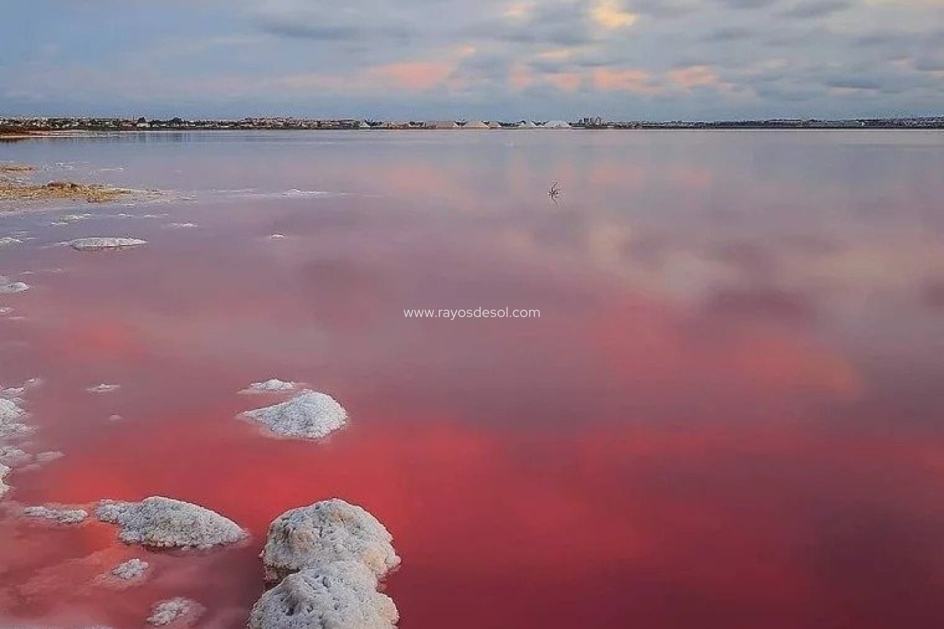 Nieuwbouw - Villa - Torrevieja - Lago Jardin