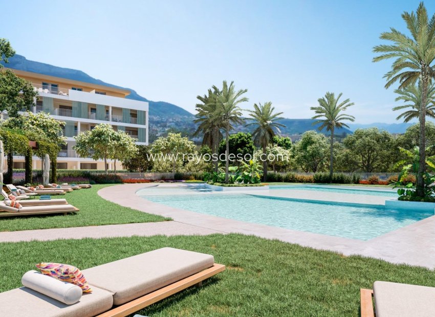 Nieuwbouw Woningen - Penthouse - Denia - Center