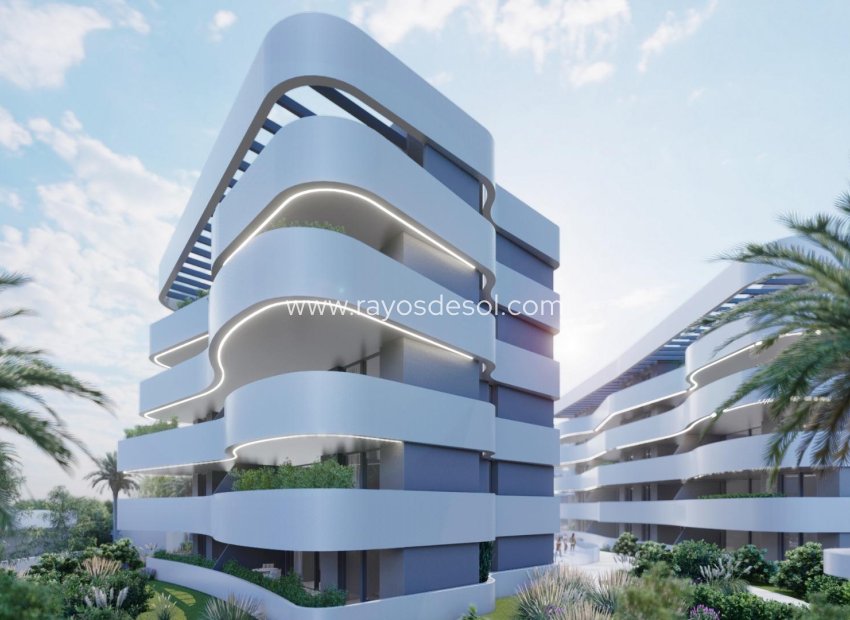 Nieuwbouw Woningen - Penthouse - Guardamar del Segura - El Raso