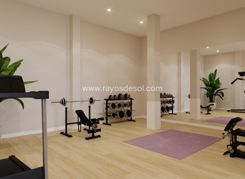 Obra nueva - Apartamento / piso - Algorfa - Pueblo