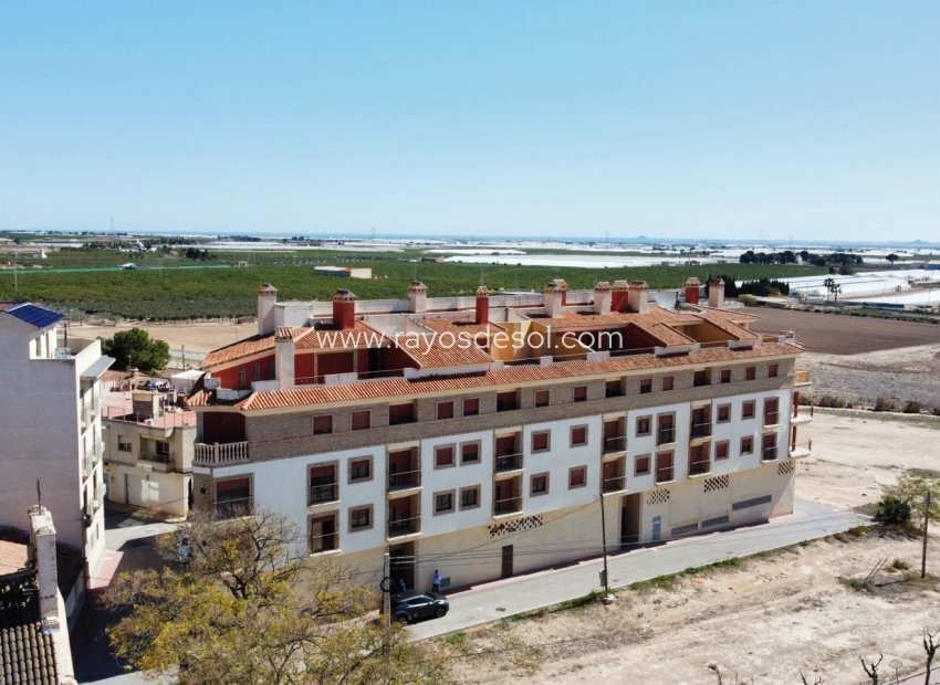 Obra nueva - Apartamento / piso - Avileses - pueblo