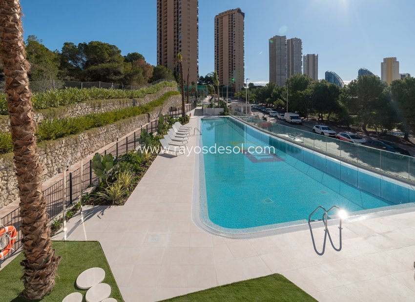 Obra nueva - Apartamento / piso - Benidorm - Spain