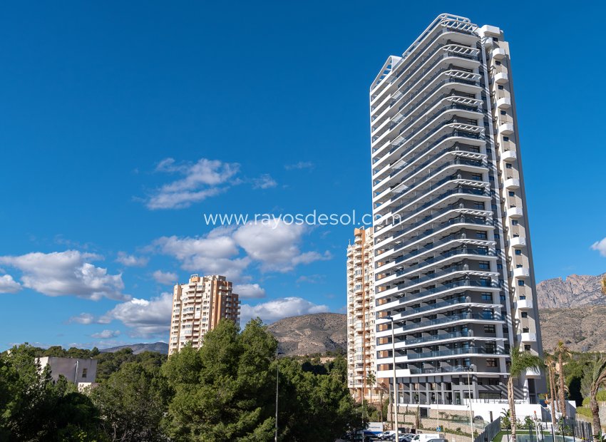 Obra nueva - Apartamento / piso - Benidorm - Spain
