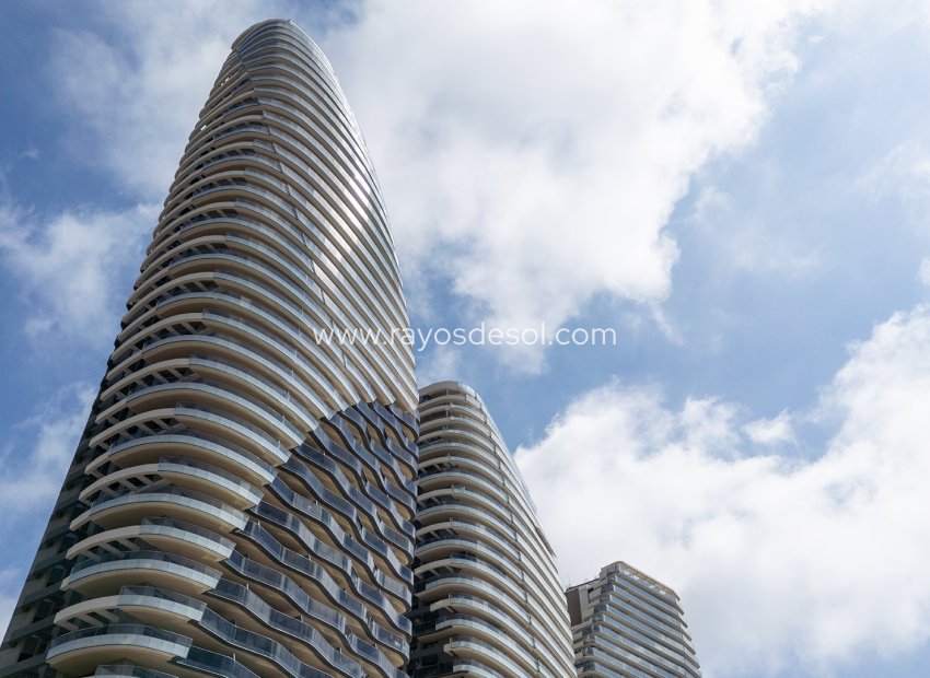 Obra nueva - Apartamento / piso - Benidorm - Spain