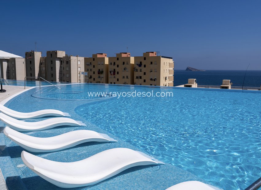 Obra nueva - Apartamento / piso - Benidorm - Spain