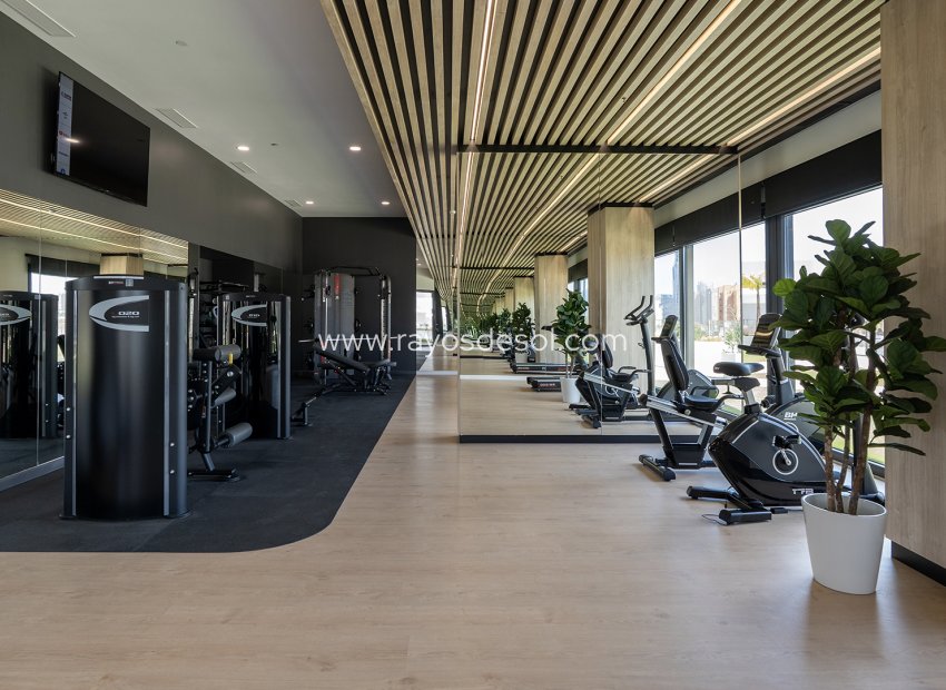 Obra nueva - Apartamento / piso - Benidorm - Spain