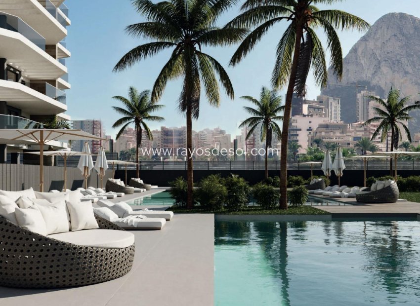 Obra nueva - Apartamento / piso - Calpe - Playa Cantal Roig