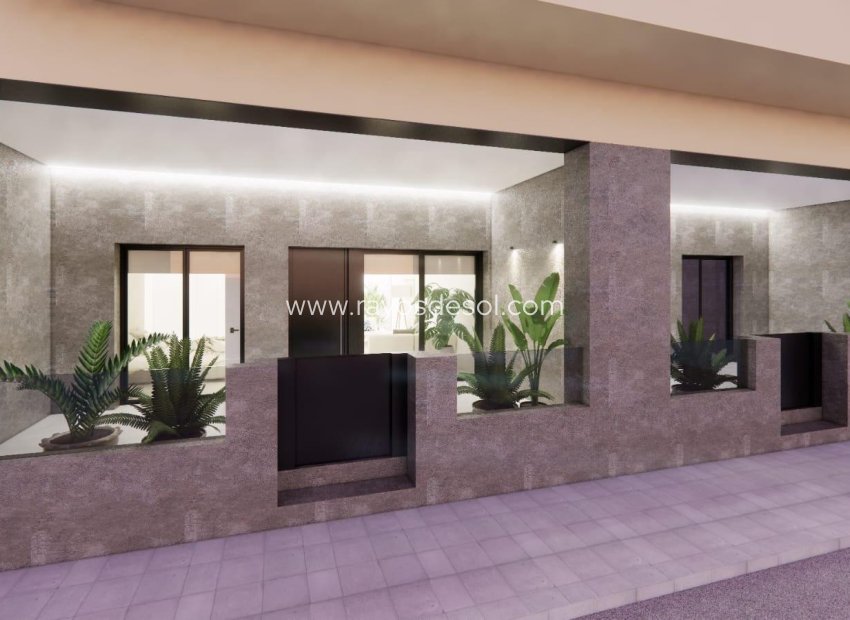 Obra nueva - Apartamento / piso - Catral - pueblo