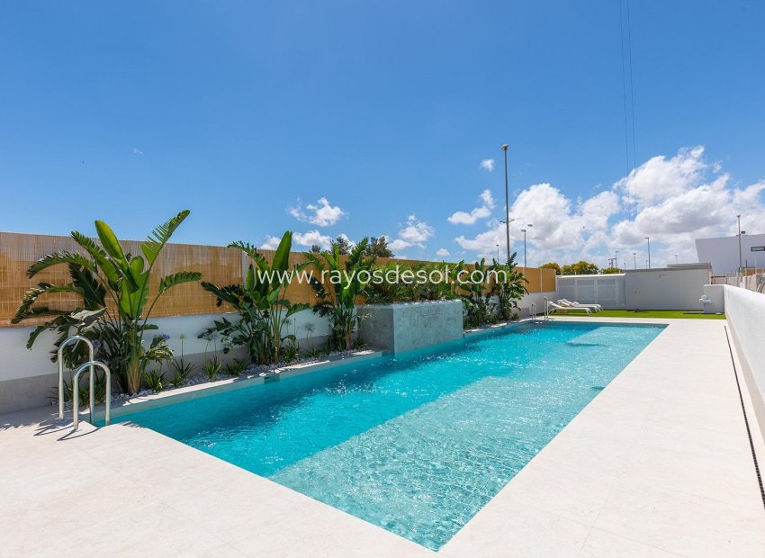 Obra nueva - Apartamento / piso - Dolores - ZONA NUEVA
