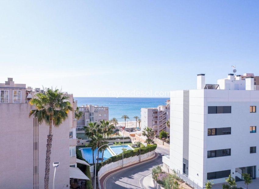 Obra nueva - Apartamento / piso - El Campello - Muchavista