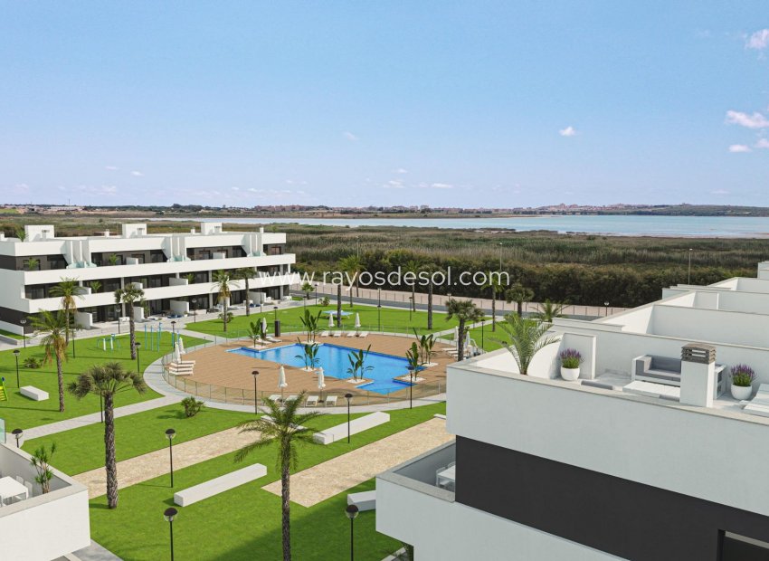 Obra nueva - Apartamento / piso - Guardamar del Segura - El Raso