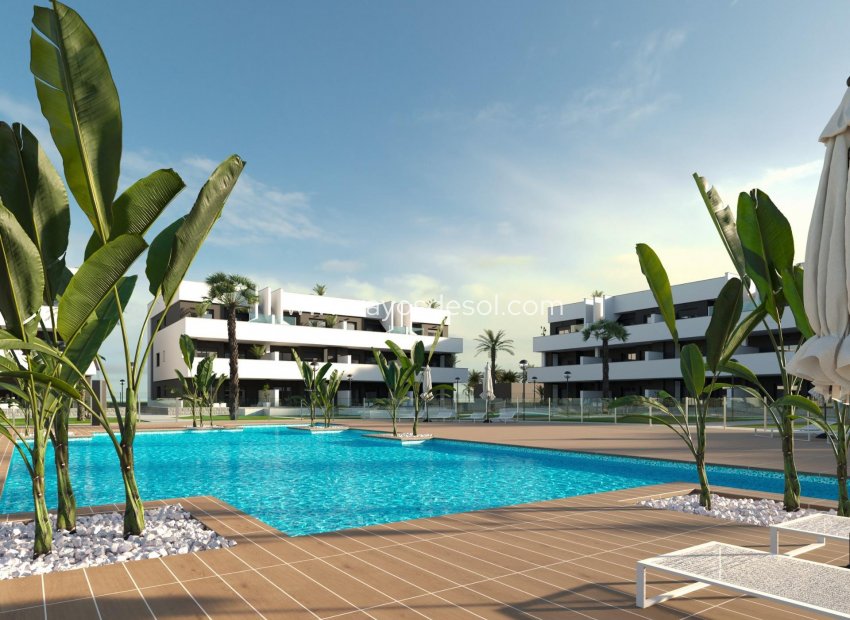 Obra nueva - Apartamento / piso - Guardamar del Segura - El Raso