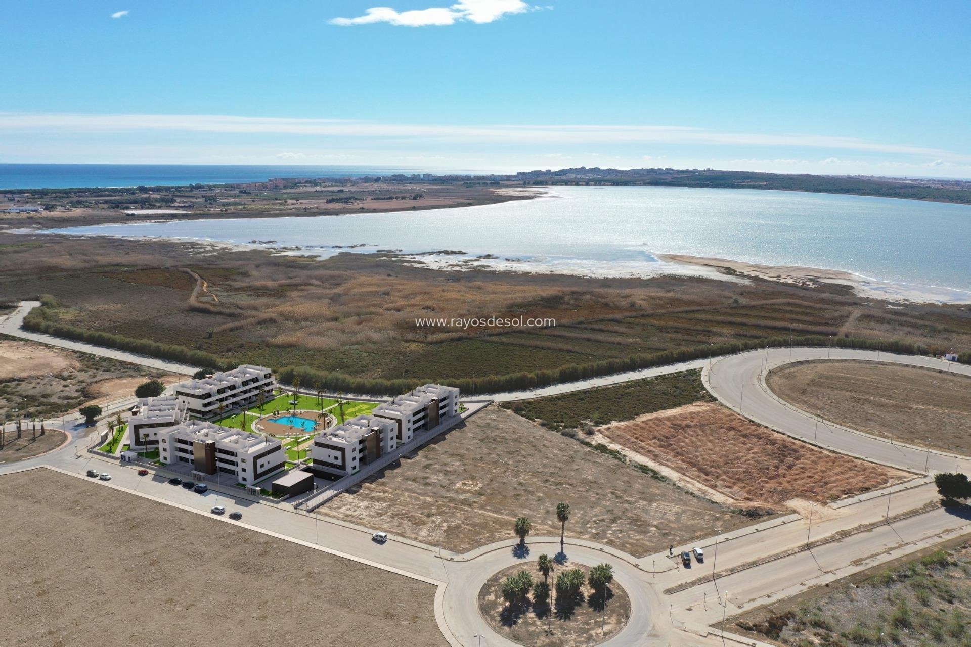 Obra nueva - Apartamento / piso - Guardamar del Segura - El Raso