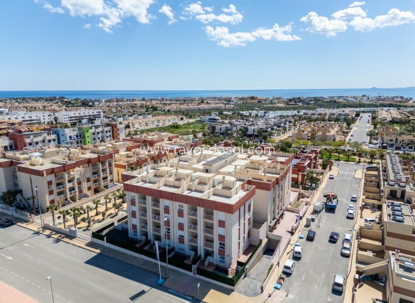 Obra nueva - Apartamento / piso - Orihuela Costa - Cabo roig - La Zenia