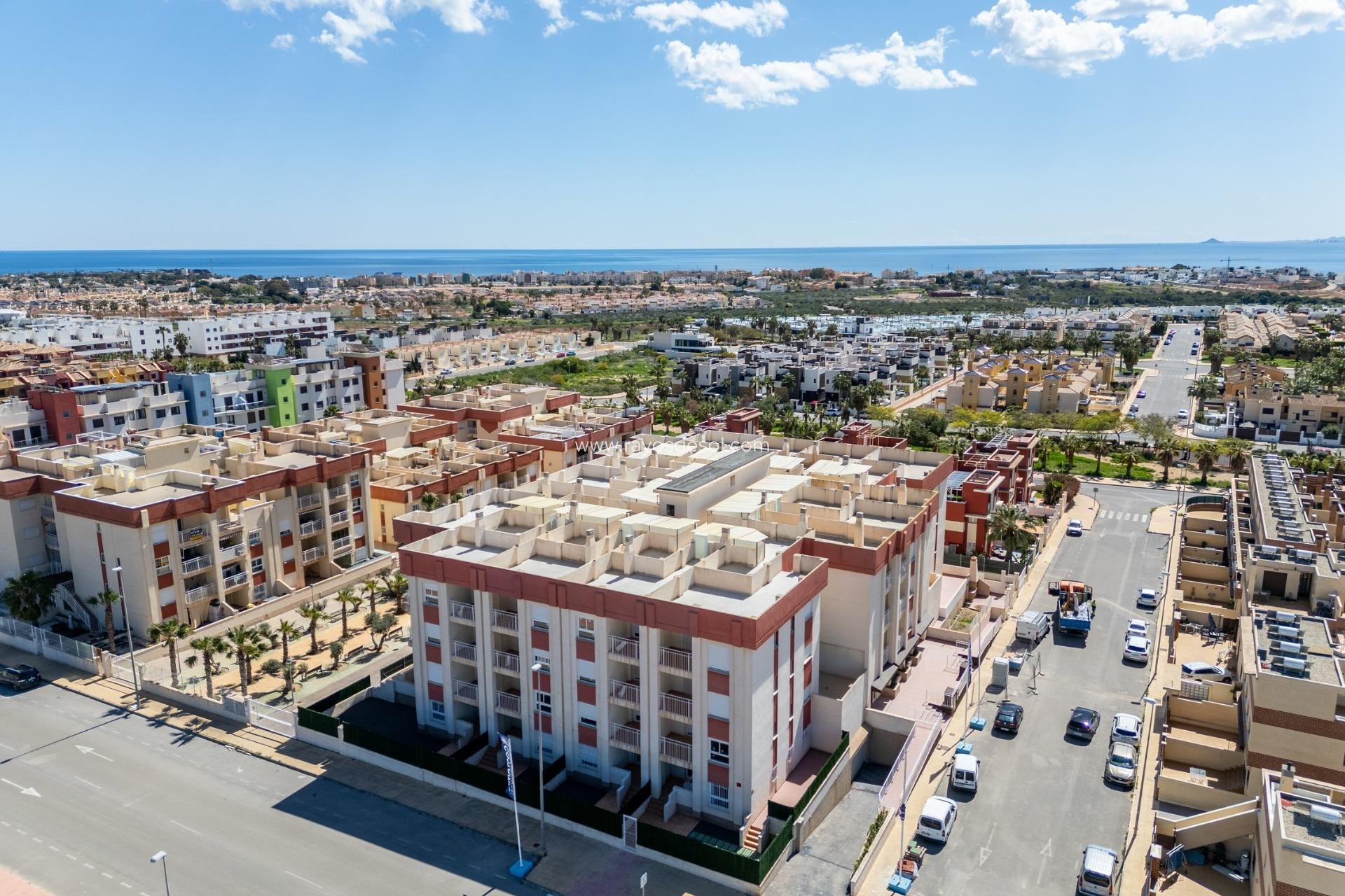 Obra nueva - Apartamento / piso - Orihuela Costa - Cabo roig - La Zenia