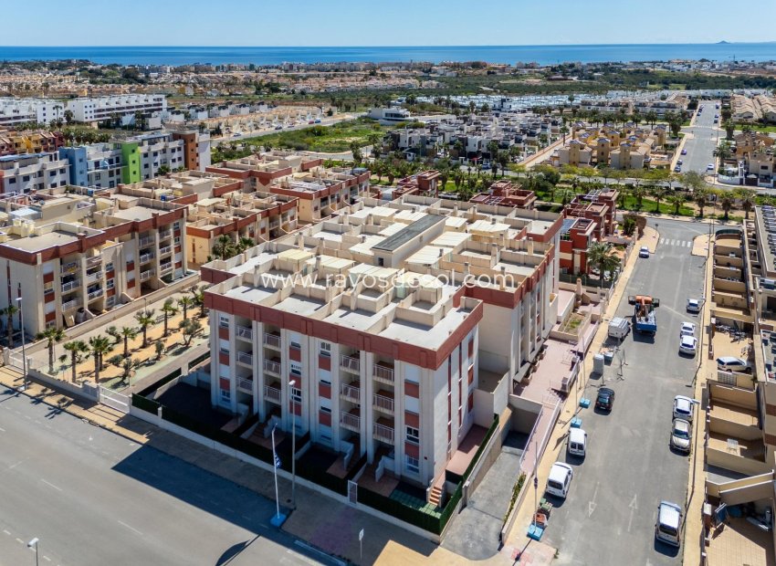Obra nueva - Apartamento / piso - Orihuela Costa - Cabo roig - La Zenia