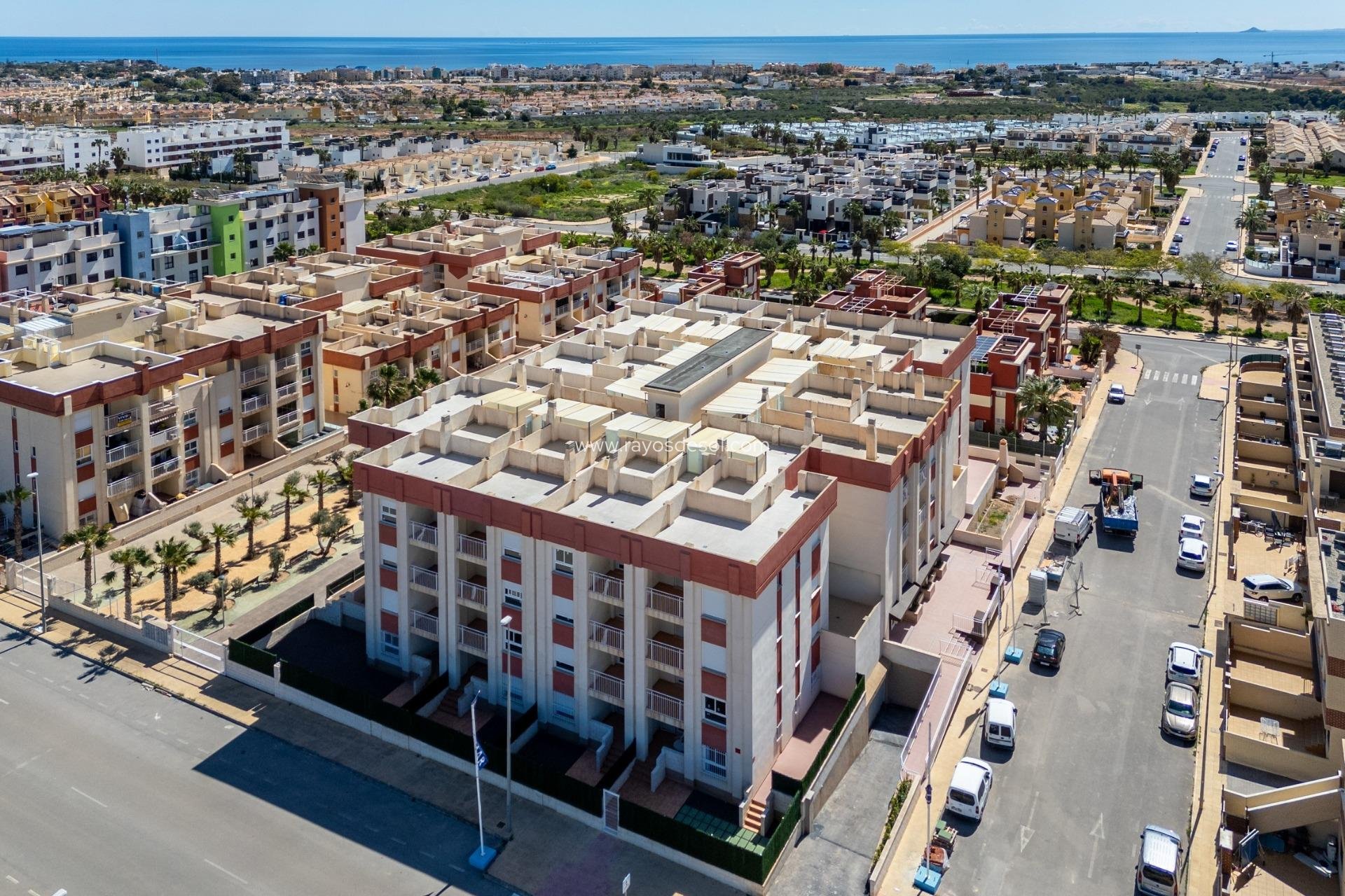 Obra nueva - Apartamento / piso - Orihuela Costa - Cabo roig - La Zenia