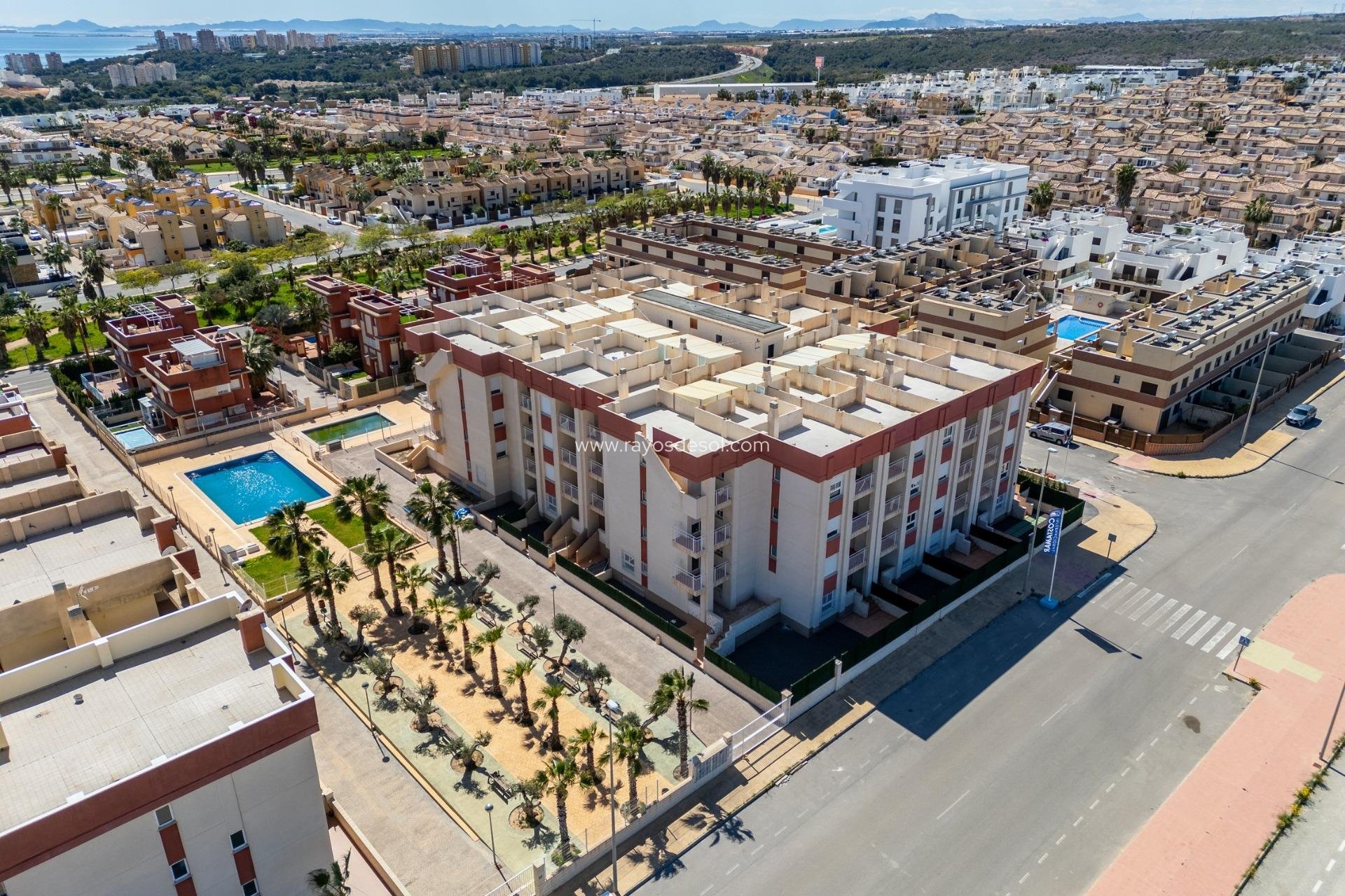 Obra nueva - Apartamento / piso - Orihuela Costa - Cabo roig - La Zenia