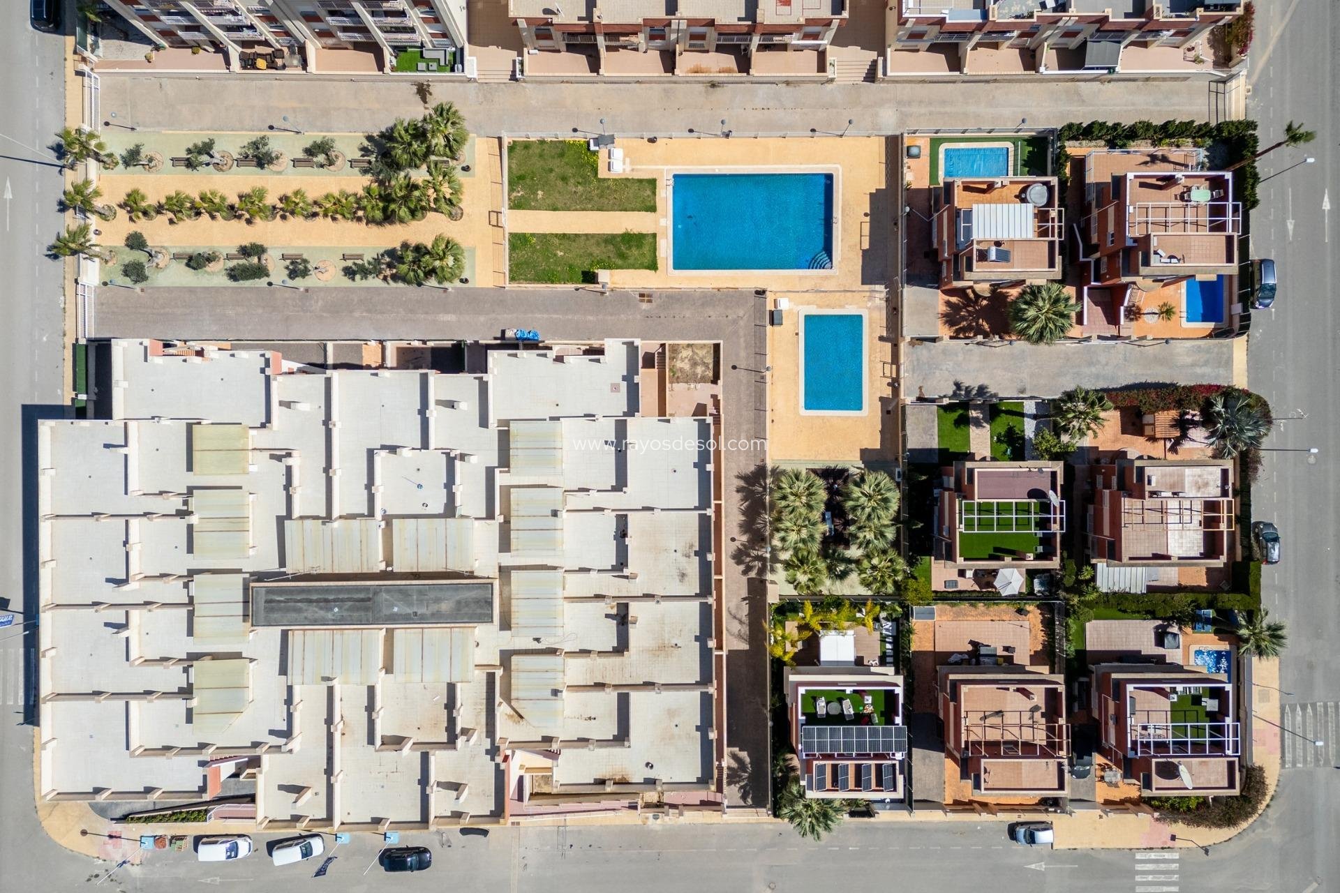 Obra nueva - Apartamento / piso - Orihuela Costa - Cabo roig - La Zenia