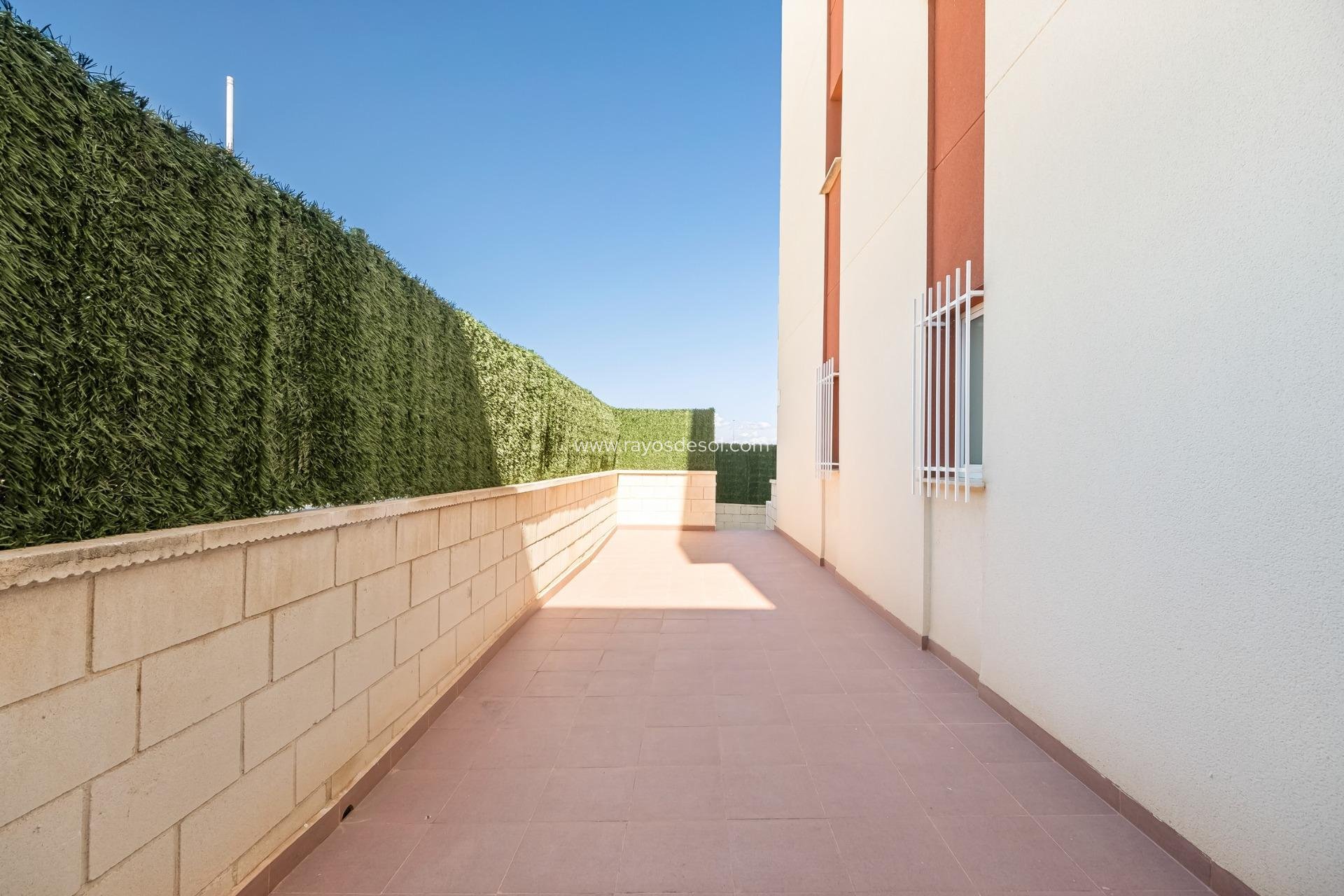 Obra nueva - Apartamento / piso - Orihuela Costa - Cabo roig - La Zenia
