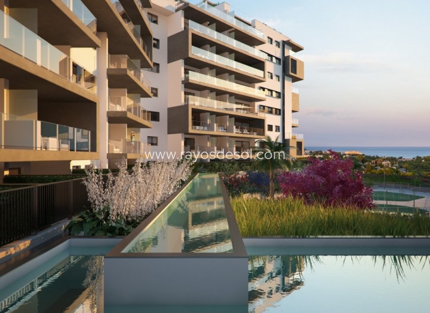 Obra nueva - Apartamento / piso - Orihuela Costa - Dehesa de campoamor