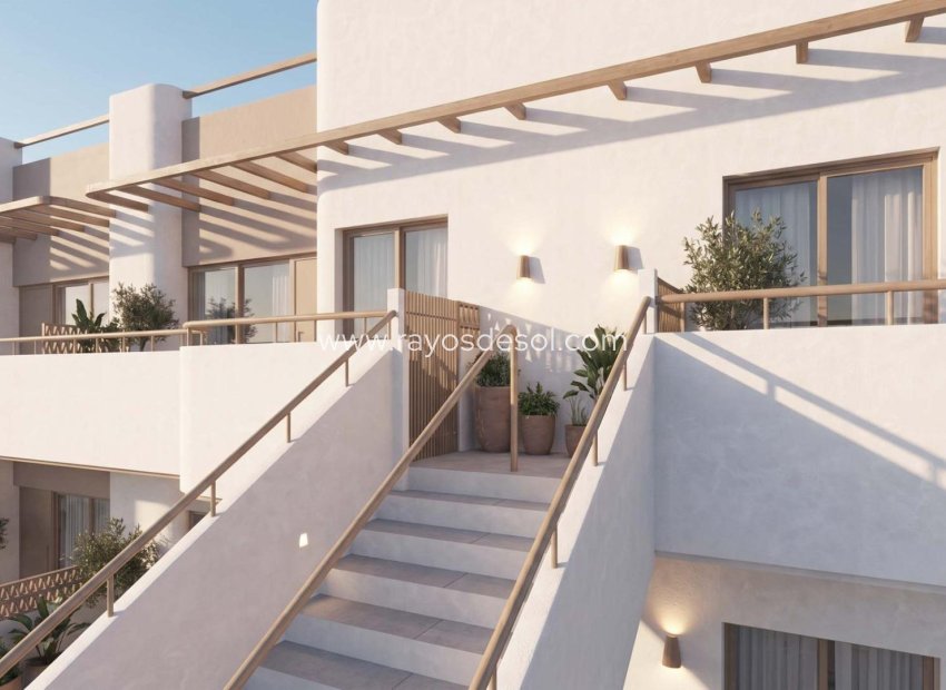 Obra nueva - Apartamento / piso - Pilar de la Horadada - pueblo