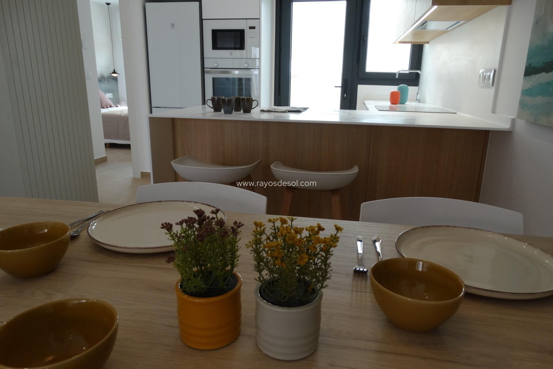 Obra nueva - Apartamento / piso - Pilar de la Horadada - pueblo