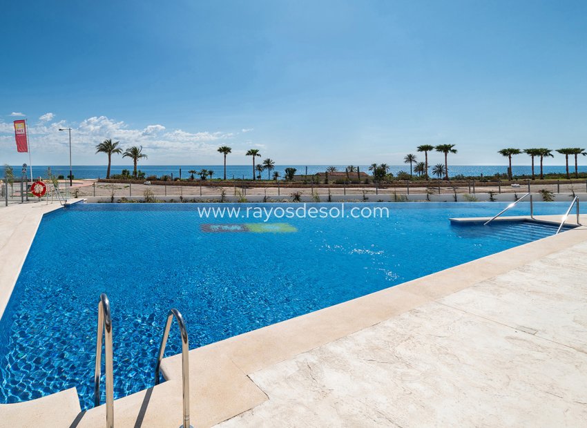 Obra nueva - Apartamento / piso - Pulpi - Spain