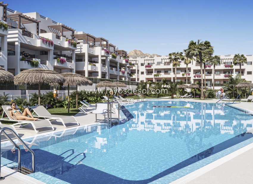 Obra nueva - Apartamento / piso - Pulpi - Spain
