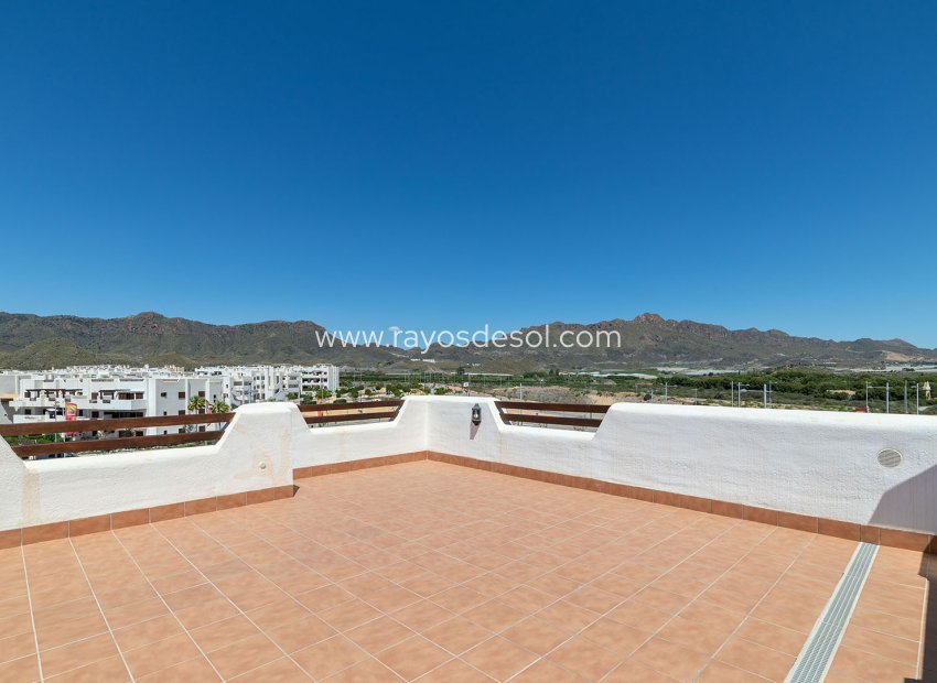 Obra nueva - Apartamento / piso - Pulpi - Spain