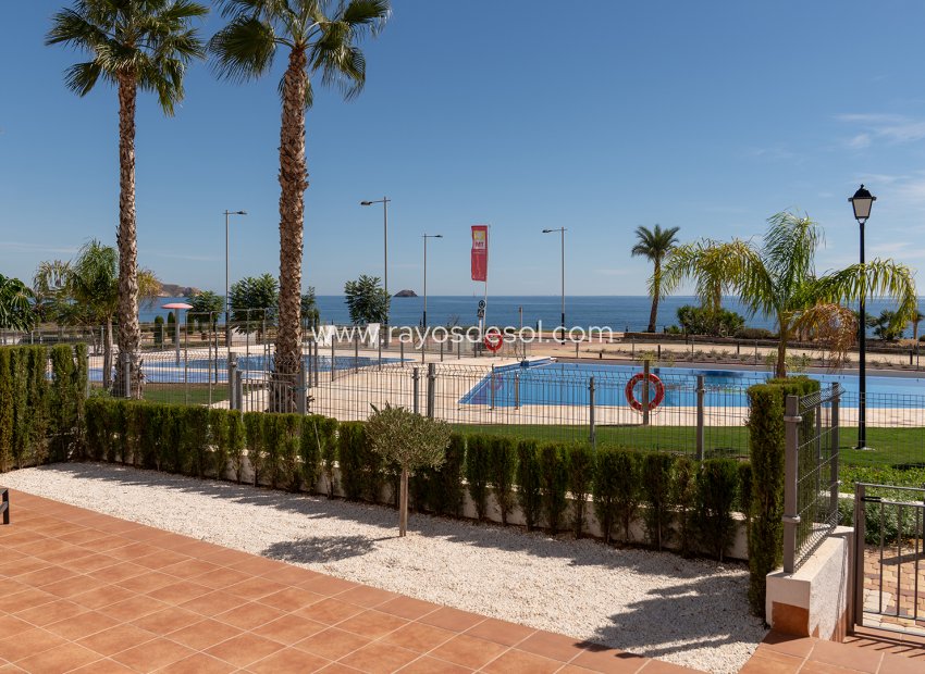 Obra nueva - Apartamento / piso - Pulpi - Spain
