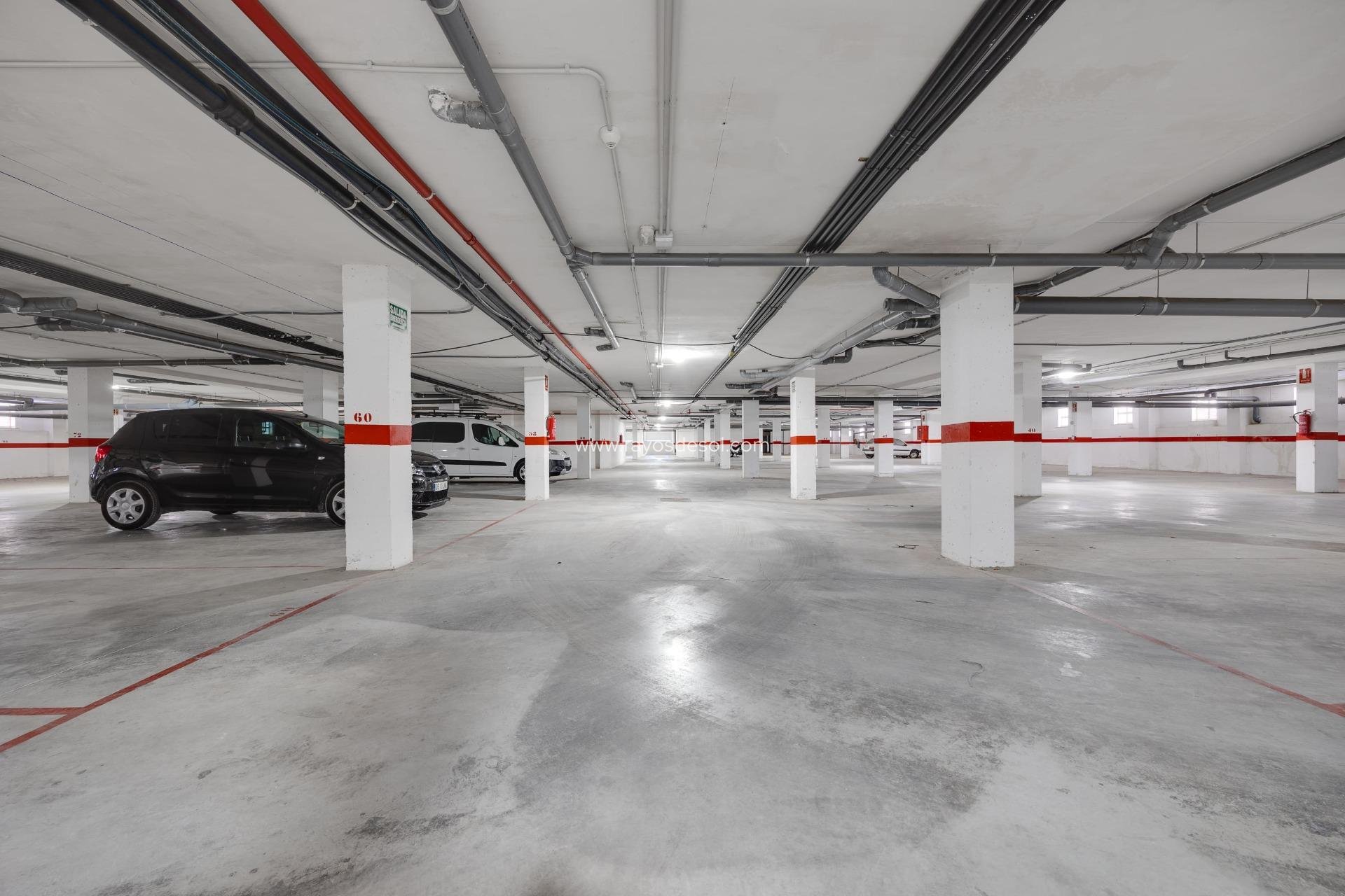 Obra nueva - Apartamento / piso - San Fulgencio - Pueblo