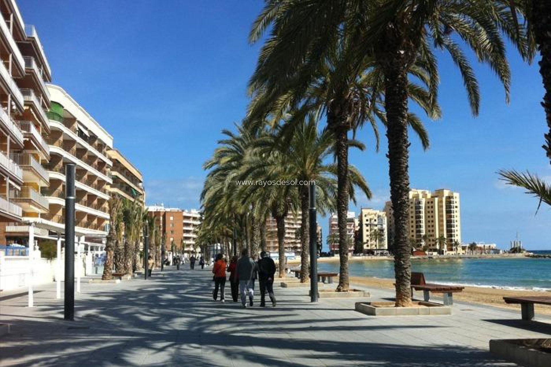 Obra nueva - Apartamento / piso - Torrevieja - Playa del Cura