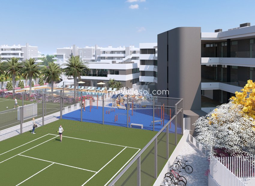 Obra nueva - Apartamento / piso - Torrevieja - Spain