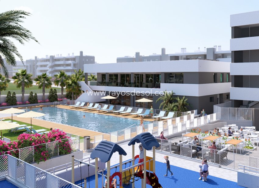 Obra nueva - Apartamento / piso - Torrevieja - Spain