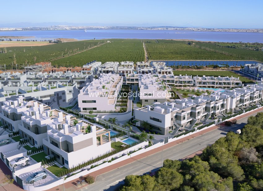 Obra nueva - Apartamento / piso - Torrevieja - Spain