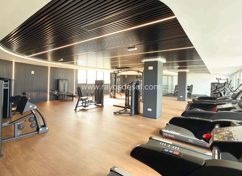 Obra nueva - Apartamento / piso - Torrevieja - Spain