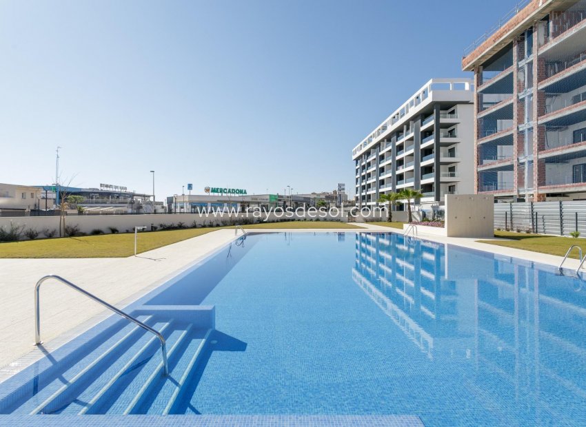 Obra nueva - Apartamento / piso - Torrevieja - Torreblanca
