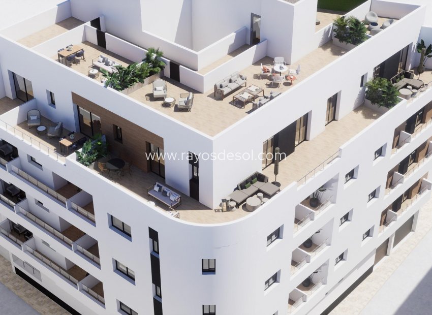Obra nueva - Ático - Torrevieja - pueblo