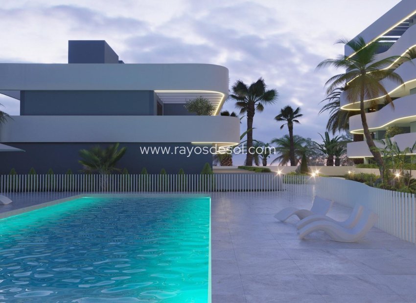 Obra nueva - Casa - Guardamar del Segura - El Raso